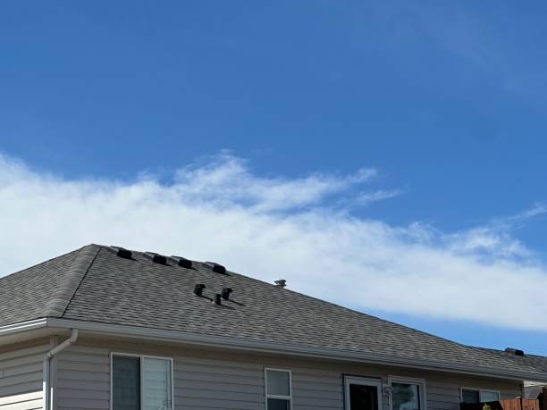 Best Gutter Installation and Repair  in Ridgefield, NJ